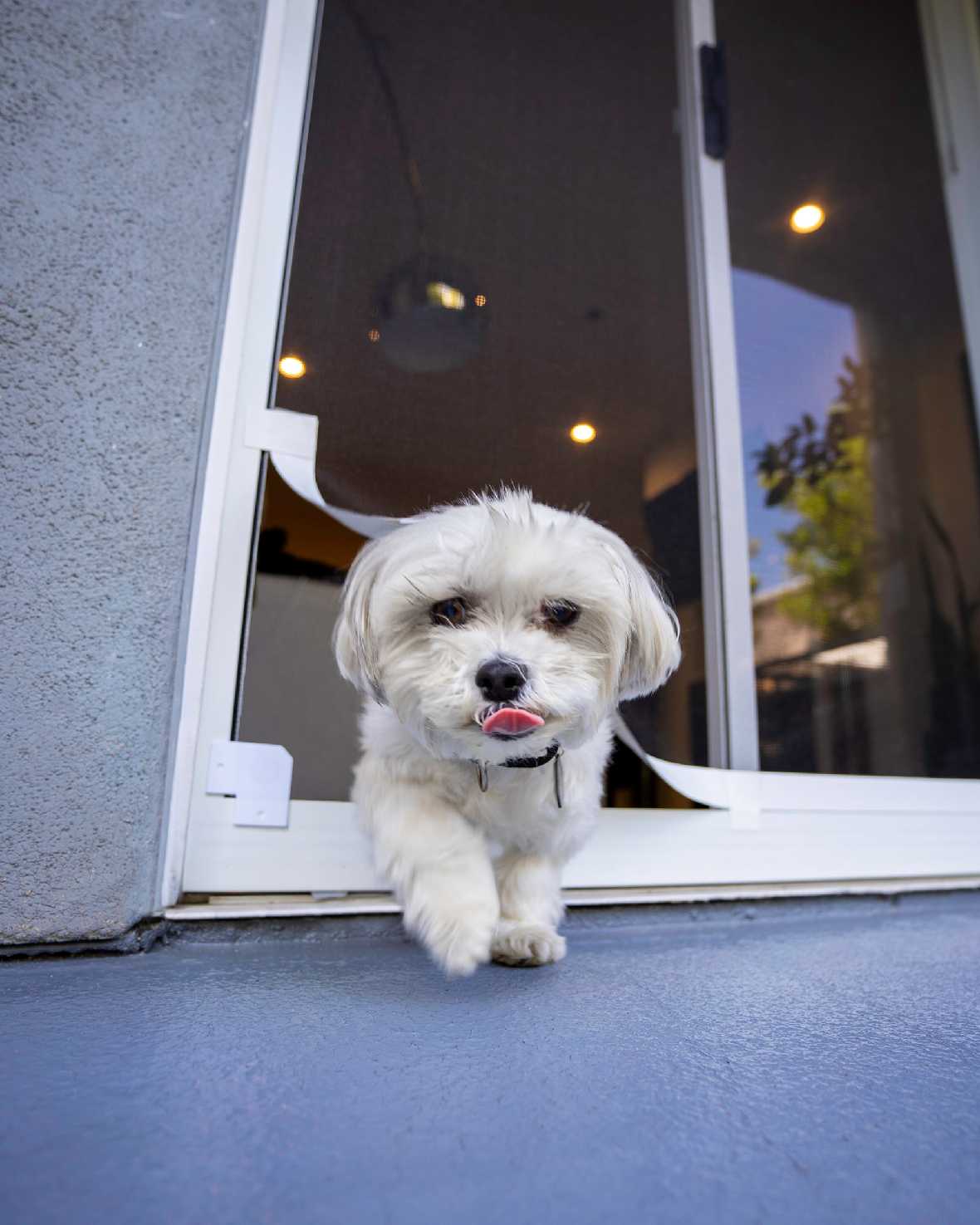 Screen Pet Door Conversion and Replacement Kit - Image 9