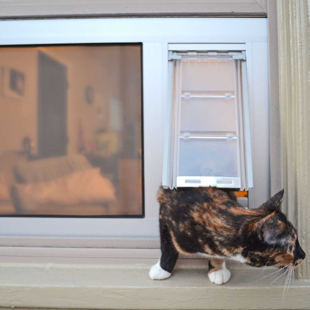 Endura Flap Thermo Sash 3e Pet Doors for Sash Windows - Image 13