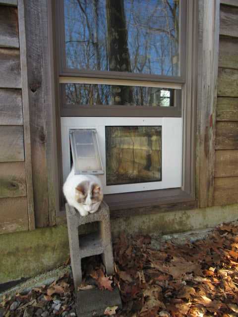 Endura Flap Thermo Sash 3e Pet Doors for Sash Windows - Image 23
