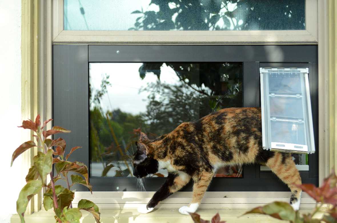 Endura Flap Thermo Sash 3e Pet Doors for Sash Windows - Image 7